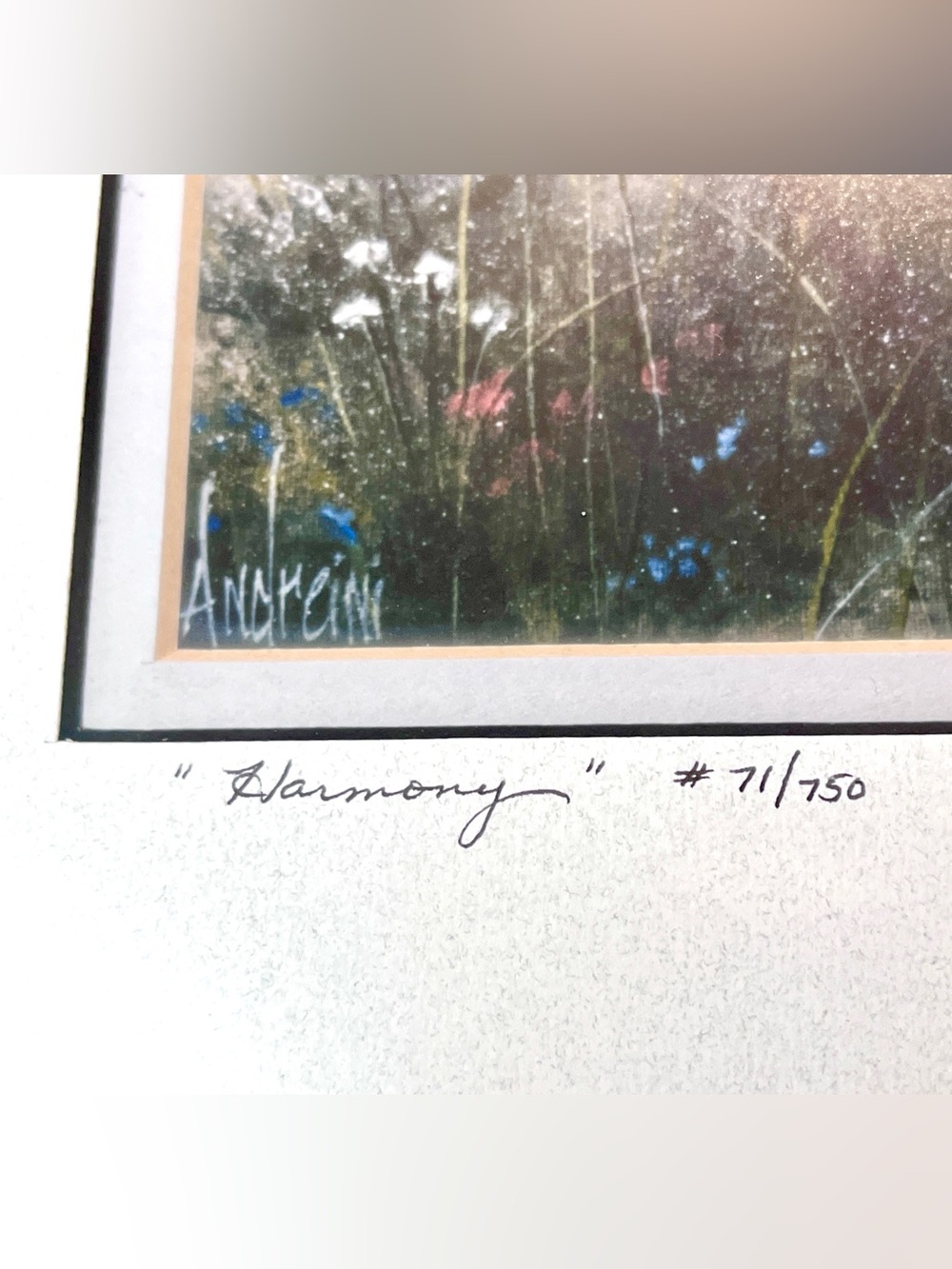 Dee Andreini Harmony Lithograph COA Vintage Signed Numbered Forest Wood Frame - Picture 2 of 7